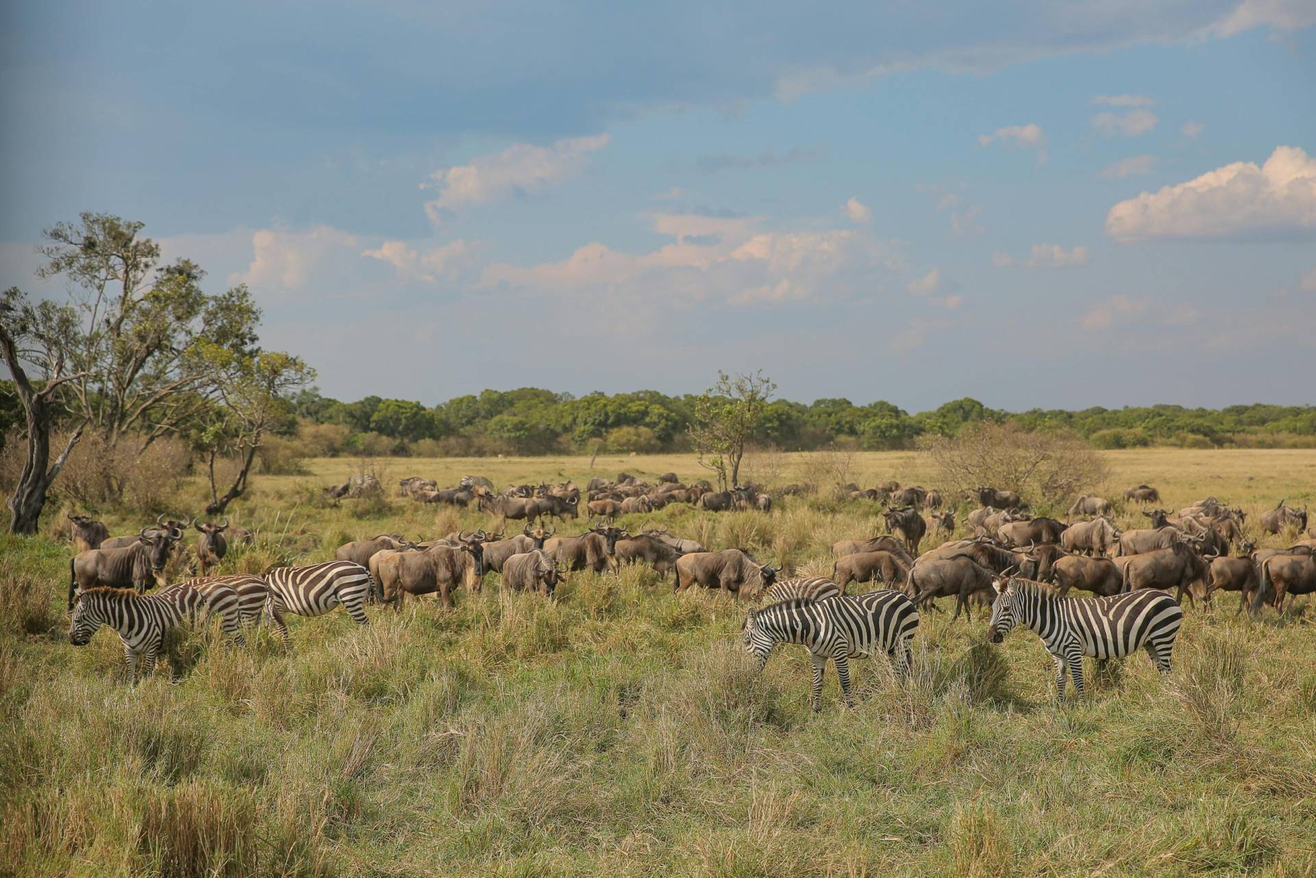 Pexels Twilightkenya 13983136 Scaled